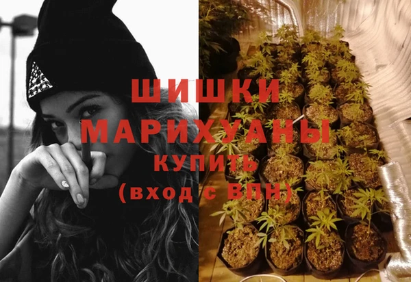 прущая мука Бородино
