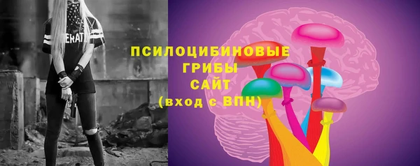 прущая мука Бородино