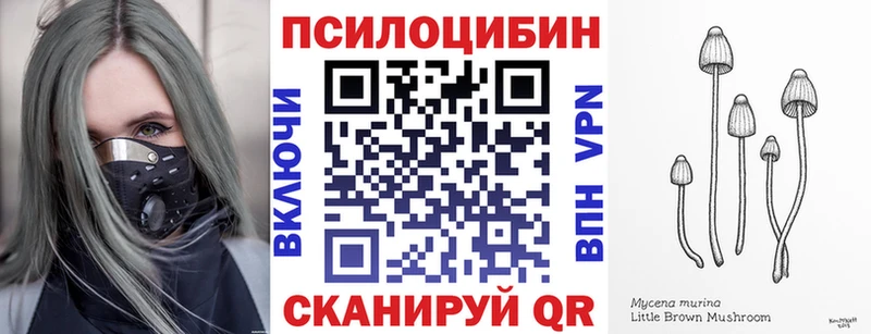 Купить  Малгобек  Псилоцибиновые грибы Cubensis 