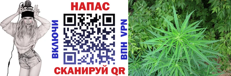 Купить закладки  Малгобек  МАРИХУАНА LSD WEED 